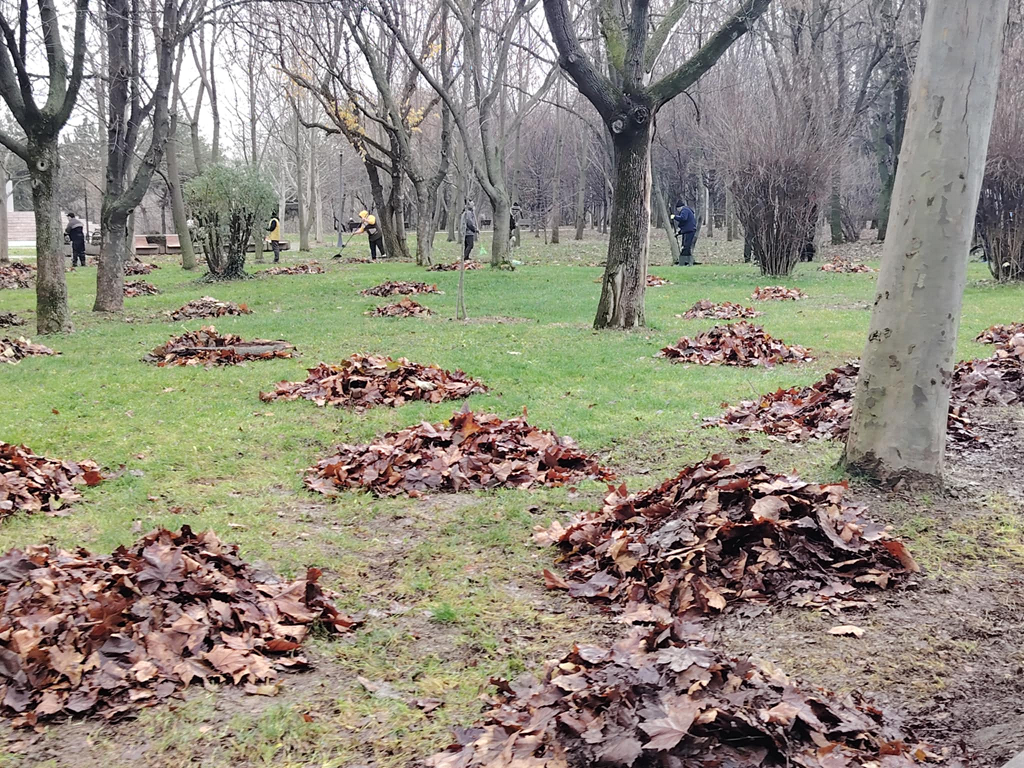 Apa deschide uşa solidarităţii om-natură, prin #focustogreenecolife Apa deschide uşa solidarităţii om-natură, prin #focustogreenecolife